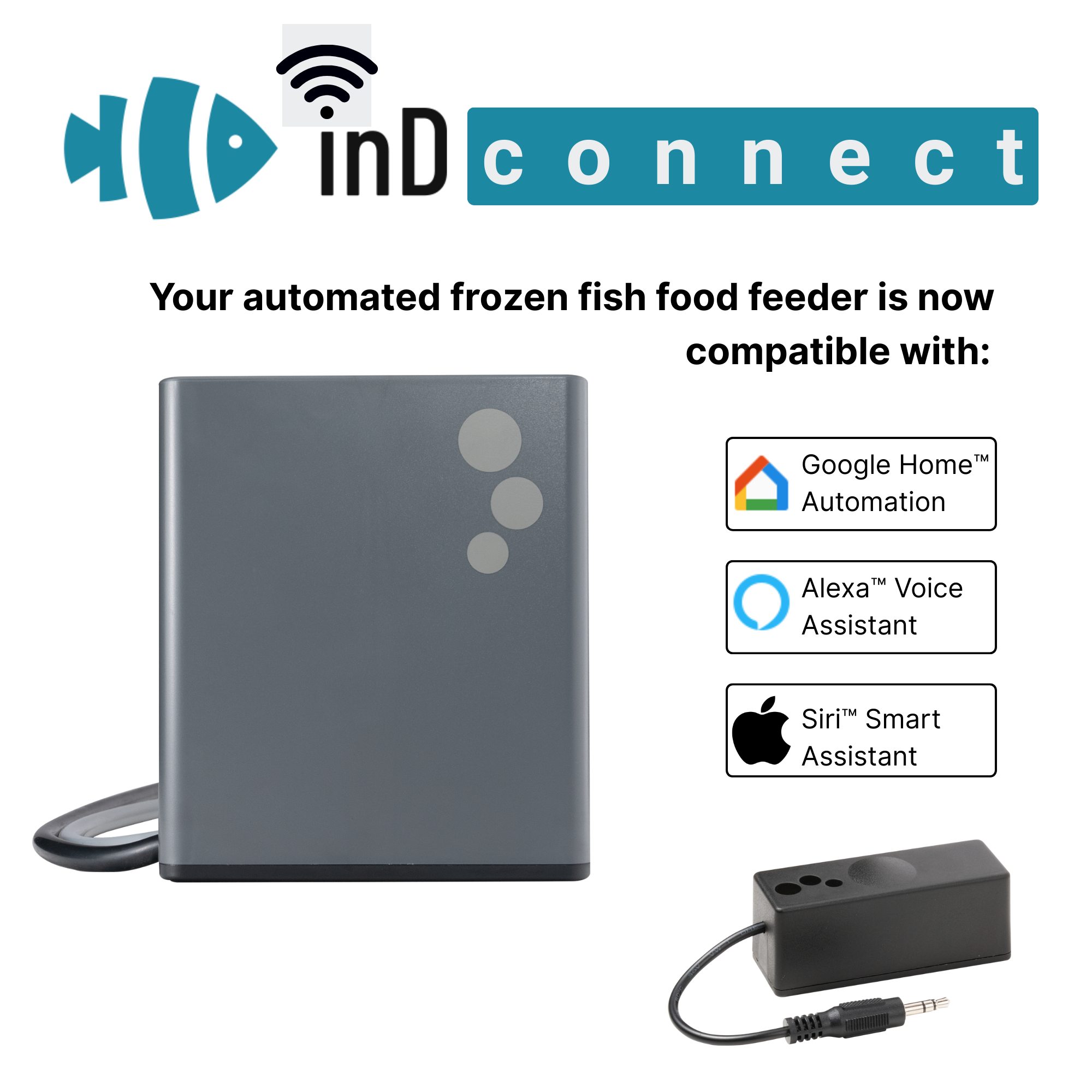 aF4 connected Bundle