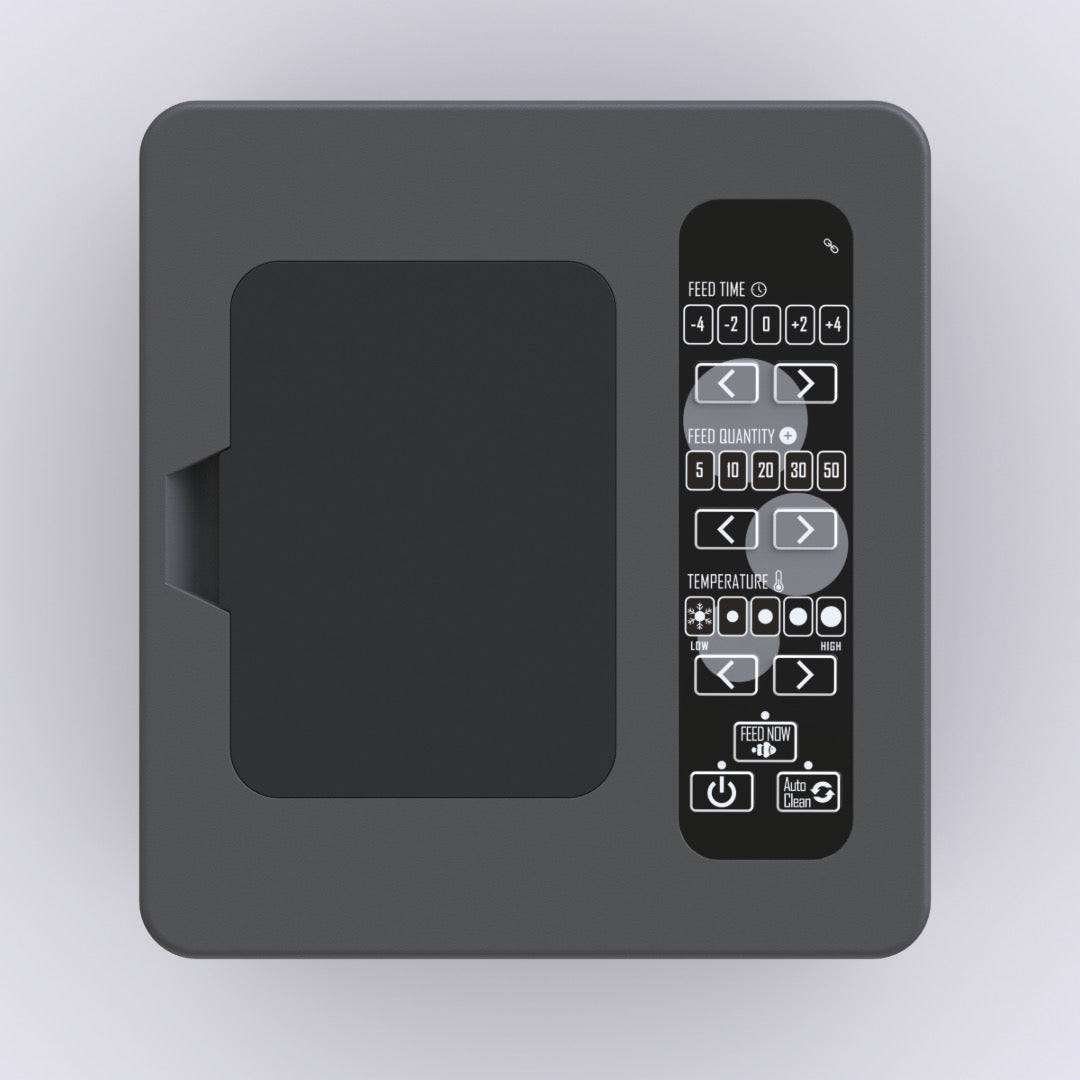 Black Friday Essentials Bundle