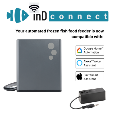 aF4 connected Bundle