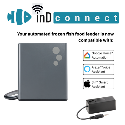 aF4 connected Bundle